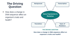 Gene Expression & Mutation Substitute Slideshow & Teacher Guide sample page
