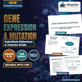 Gene Expression & Mutation Substitute Slideshow & Teacher Guide cover