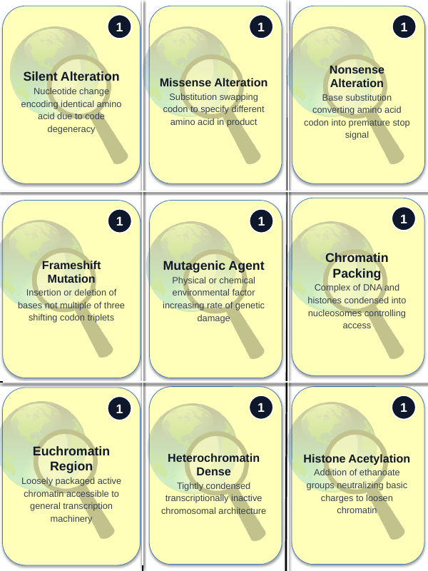 Gene Expression & Mutation Trivia Board Game sample page