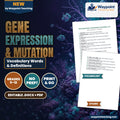 Gene Expression & Mutation Vocabulary Words & Definitions cover