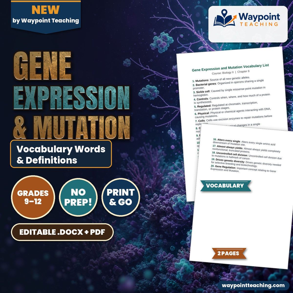 Gene Expression & Mutation Vocabulary Words & Definitions cover