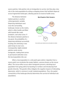 Habitat Geometry and Meta-Population Dynamics Reading Worksheet sample page