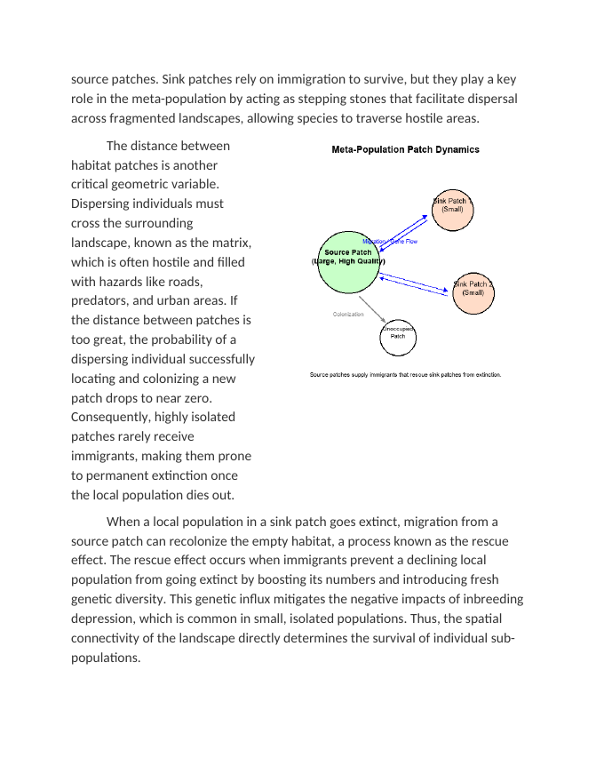 Habitat Geometry and Meta-Population Dynamics Reading Worksheet sample page