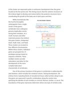 Hox Genes and Human Body Plan Patterning Reading Worksheet sample page