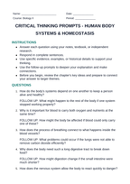 Human Body Systems & Homeostasis Critical Thinking Prompts sample page