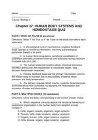 Human Body Systems & Homeostasis Lesson Quiz sample page