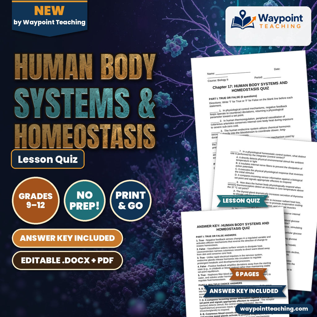 Human Body Systems & Homeostasis Lesson Quiz cover