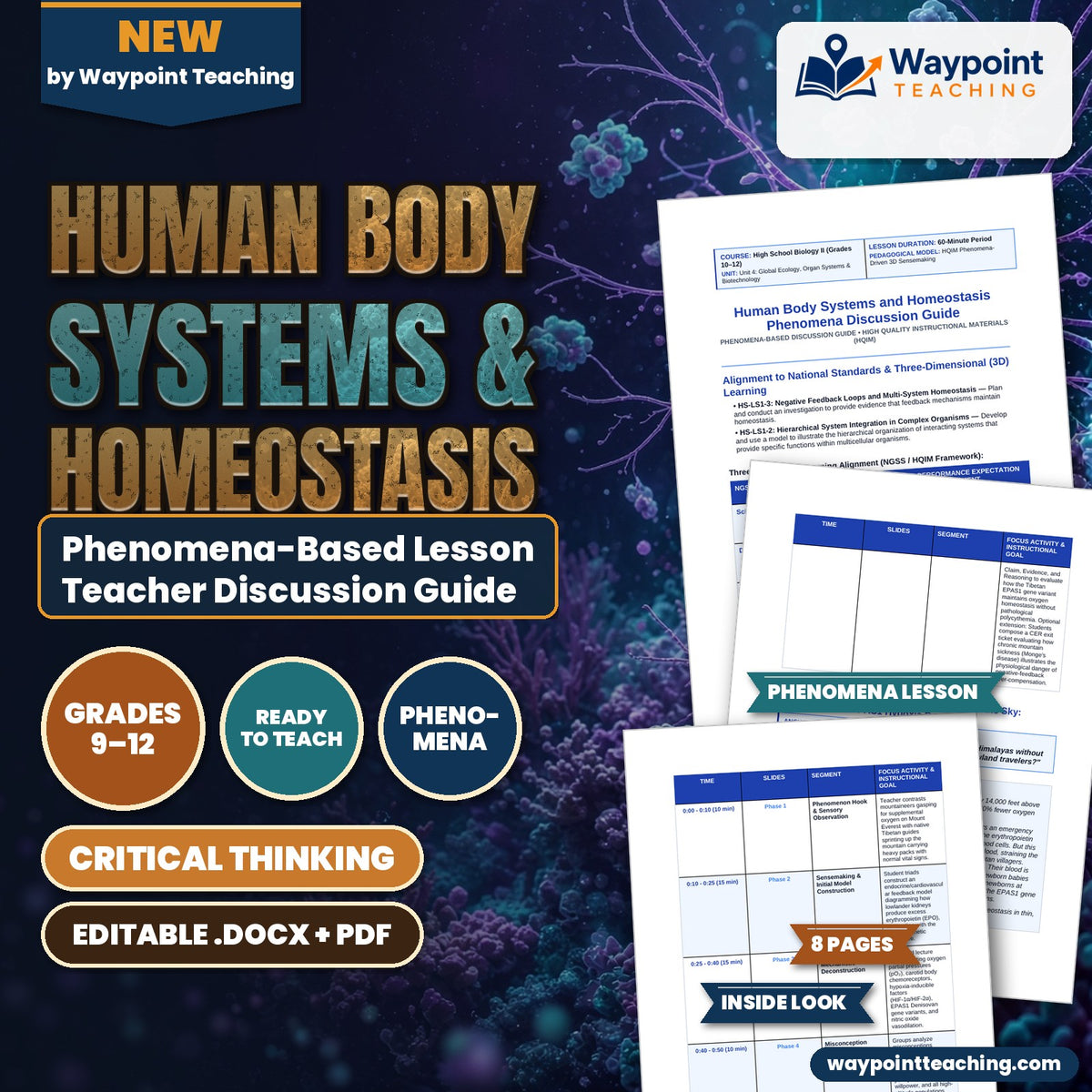 Human Body Systems & Homeostasis Phenomena-Based Lesson: The Super-Athletes of the Sky: Tibetan Plateau EPAS1 Hypoxia Resistance Teacher Discussion Guide cover