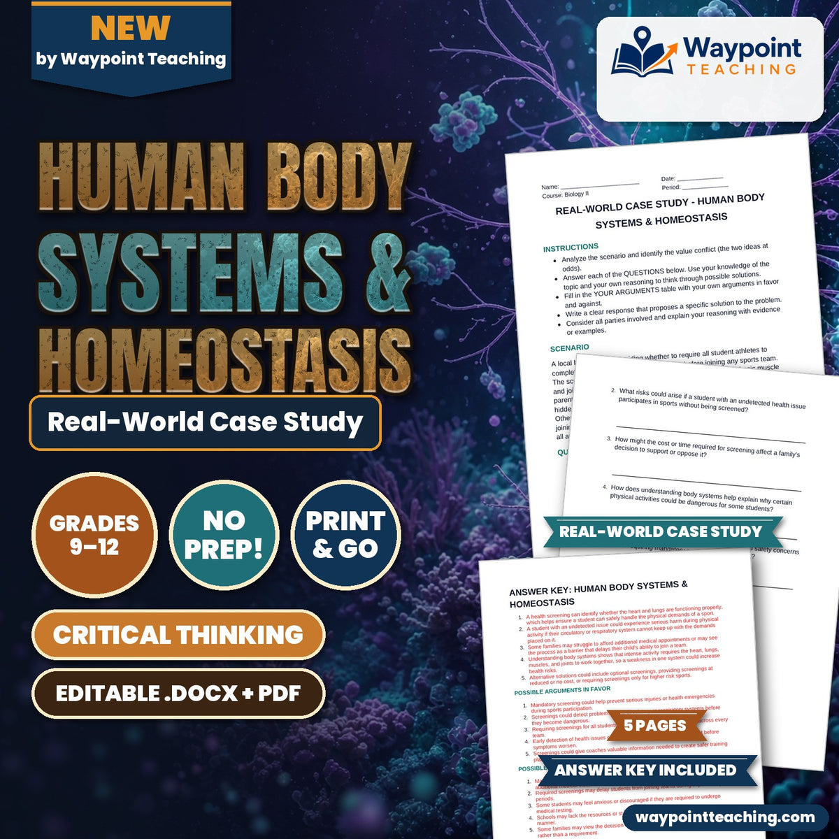 Human Body Systems & Homeostasis Real-World Case Study cover