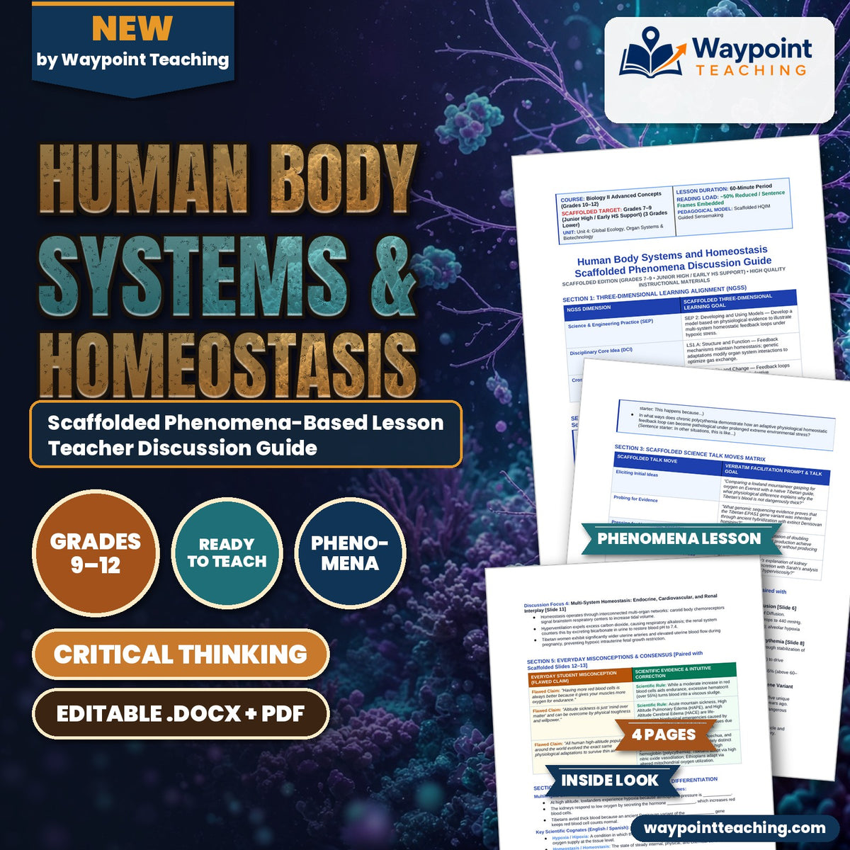 Human Body Systems & Homeostasis Scaffolded Phenomena-Based Lesson: The Super-Athletes of the Sky: Tibetan Plateau EPAS1 Hypoxia Resistance Teacher Discussion Guide cover