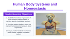 Human Body Systems & Homeostasis Slide Show Presentation sample page
