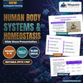 Human Body Systems & Homeostasis Slide Show Presentation cover