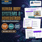 Human Body Systems & Homeostasis Slide Show Presentation cover