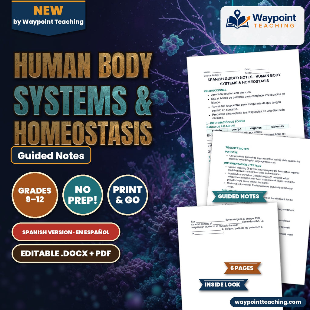 Human Body Systems & Homeostasis Spanish Guided Notes cover