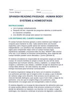 Human Body Systems & Homeostasis Spanish Reading Passage & Comprehension Questions sample page