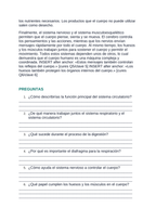 Human Body Systems & Homeostasis Spanish Reading Passage & Comprehension Questions sample page