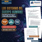 Human Body Systems & Homeostasis Spanish Reading Passage & Comprehension Questions cover