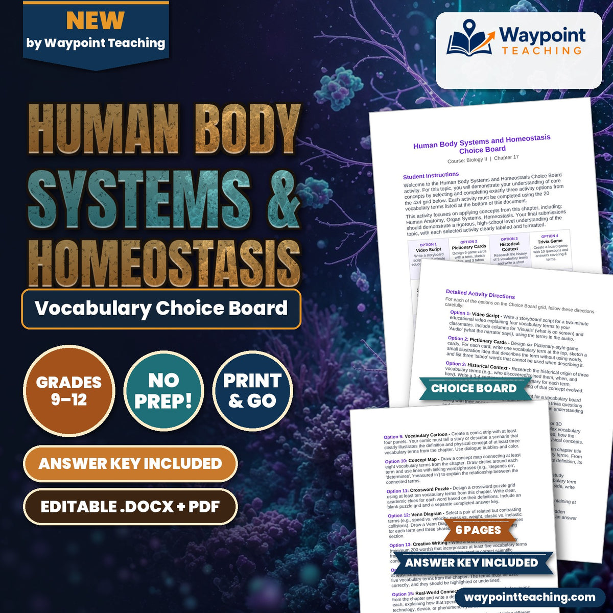 Human Body Systems & Homeostasis Vocabulary Choice Board cover