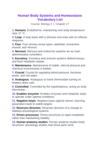 Human Body Systems & Homeostasis Vocabulary Words & Definitions sample page