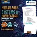 Human Body Systems & Homeostasis Vocabulary Words & Definitions cover