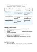 Human Impact on Ecosystems Guided Notes sample page