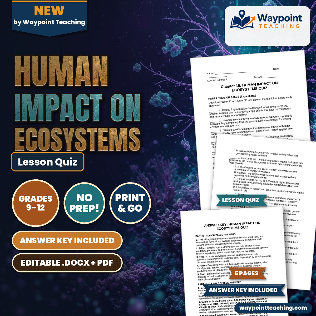 Human Impact on Ecosystems Lesson Quiz cover