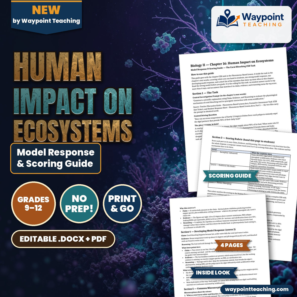 Human Impact on Ecosystems Model Response & Scoring Guide cover
