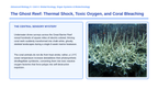Human Impact on Ecosystems Phenomena-Based Lesson: The Ghost Reef: Thermal Shock, Toxic Oxygen, and Coral Bleaching Presentation sample page