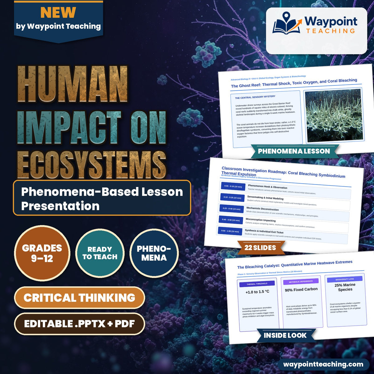 Human Impact on Ecosystems Phenomena-Based Lesson: The Ghost Reef: Thermal Shock, Toxic Oxygen, and Coral Bleaching Presentation cover