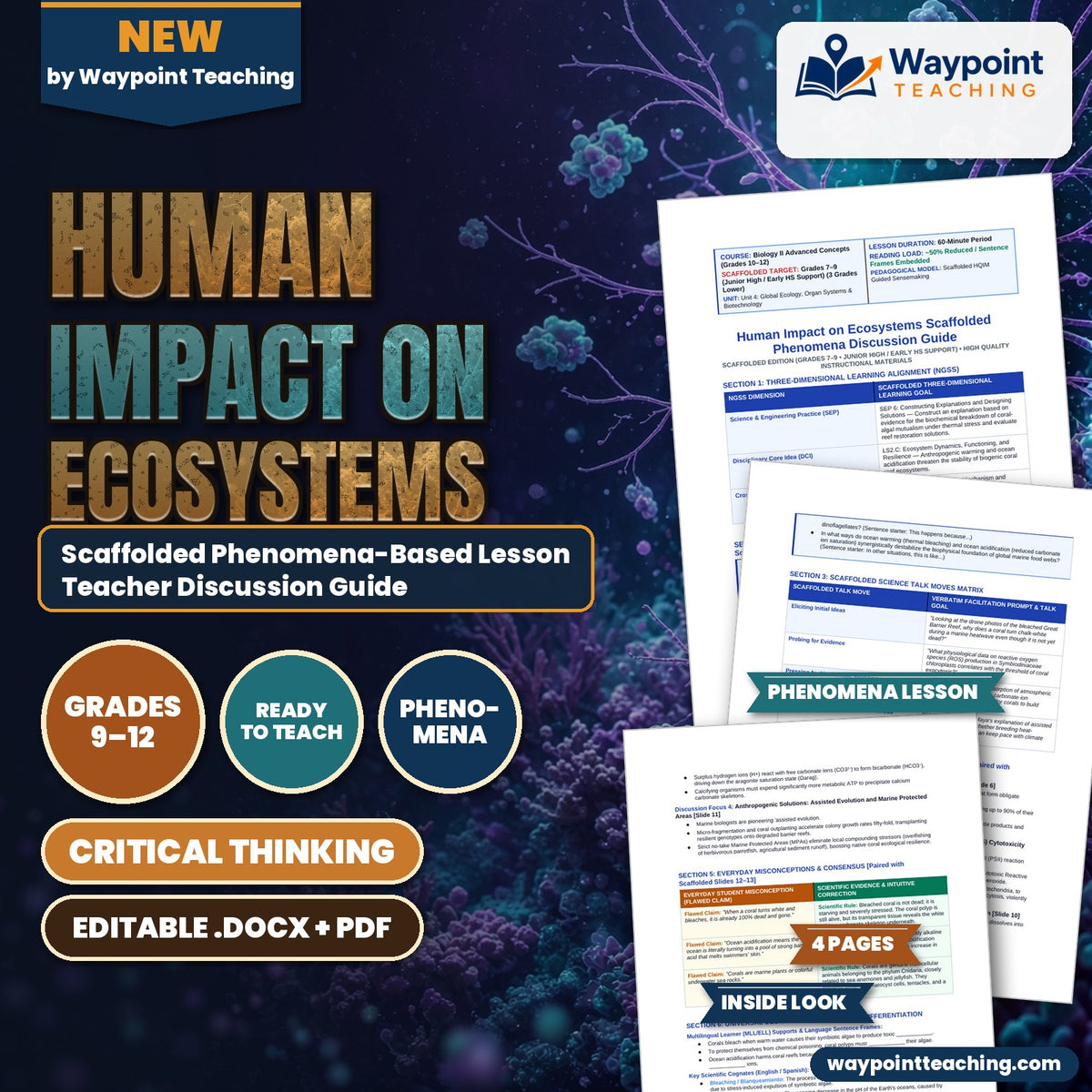Human Impact on Ecosystems Scaffolded Phenomena-Based Lesson: The Ghost Reef: Thermal Shock, Toxic Oxygen, and Coral Bleaching Teacher Discussion Guide cover