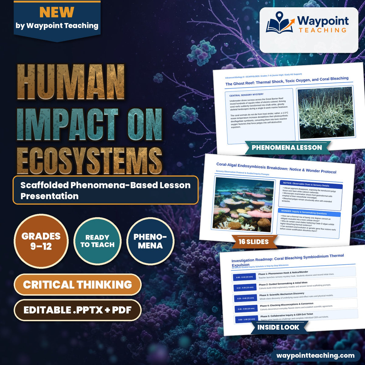 Human Impact on Ecosystems Scaffolded Phenomena-Based Lesson: The Ghost Reef: Thermal Shock, Toxic Oxygen, and Coral Bleaching Presentation cover