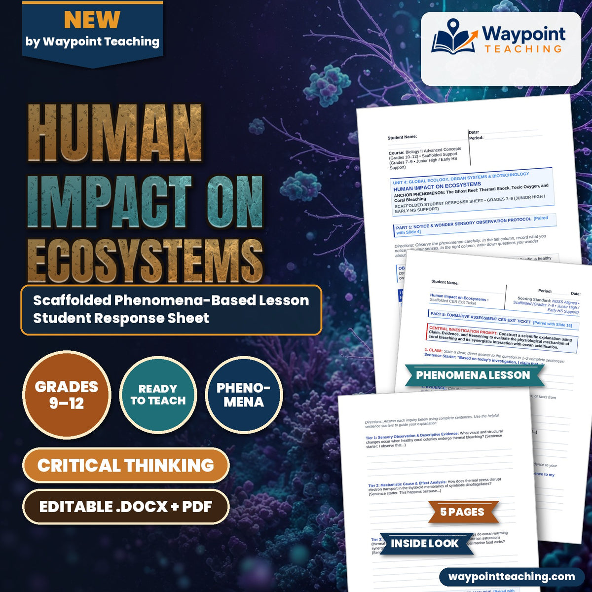 Human Impact on Ecosystems Scaffolded Phenomena-Based Lesson: The Ghost Reef: Thermal Shock, Toxic Oxygen, and Coral Bleaching Student Response Sheet cover