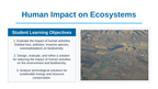 Human Impact on Ecosystems Slide Show Presentation sample page