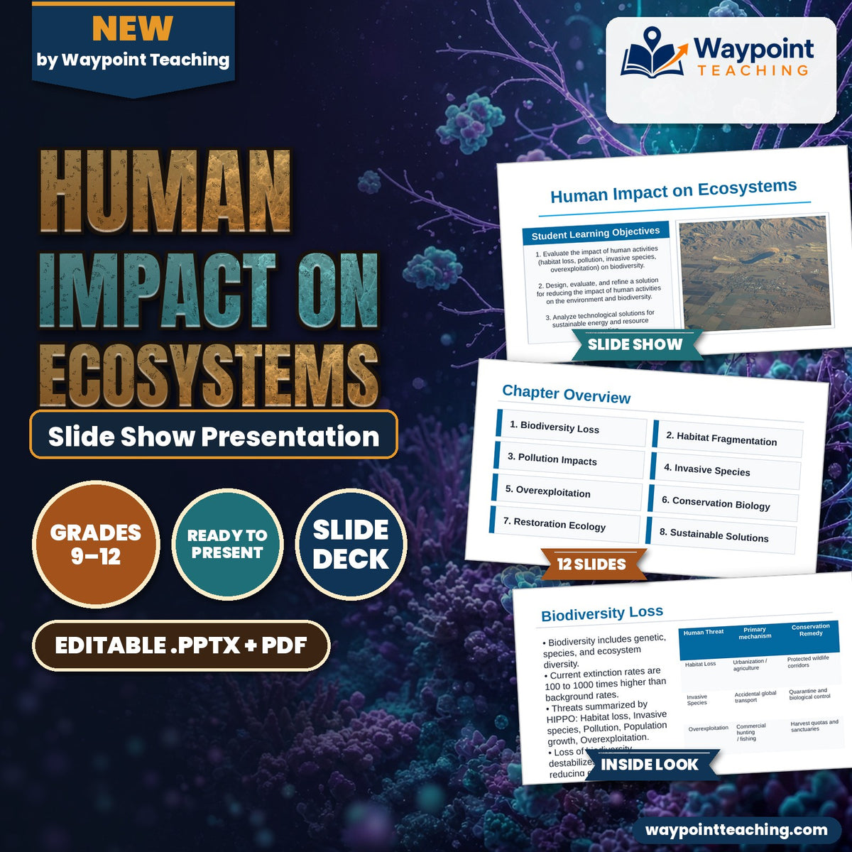 Human Impact on Ecosystems Slide Show Presentation cover