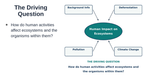 Human Impact on Ecosystems Substitute Slideshow & Teacher Guide sample page
