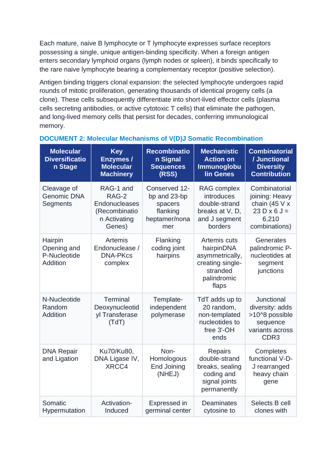 Humoral and Cell-Mediated Immunity: Clonal Selection, V(D)J Somatic Recombination, Antibodies, and Cytotoxic T Lymphocytes CER Phenomena Worksheet sample page