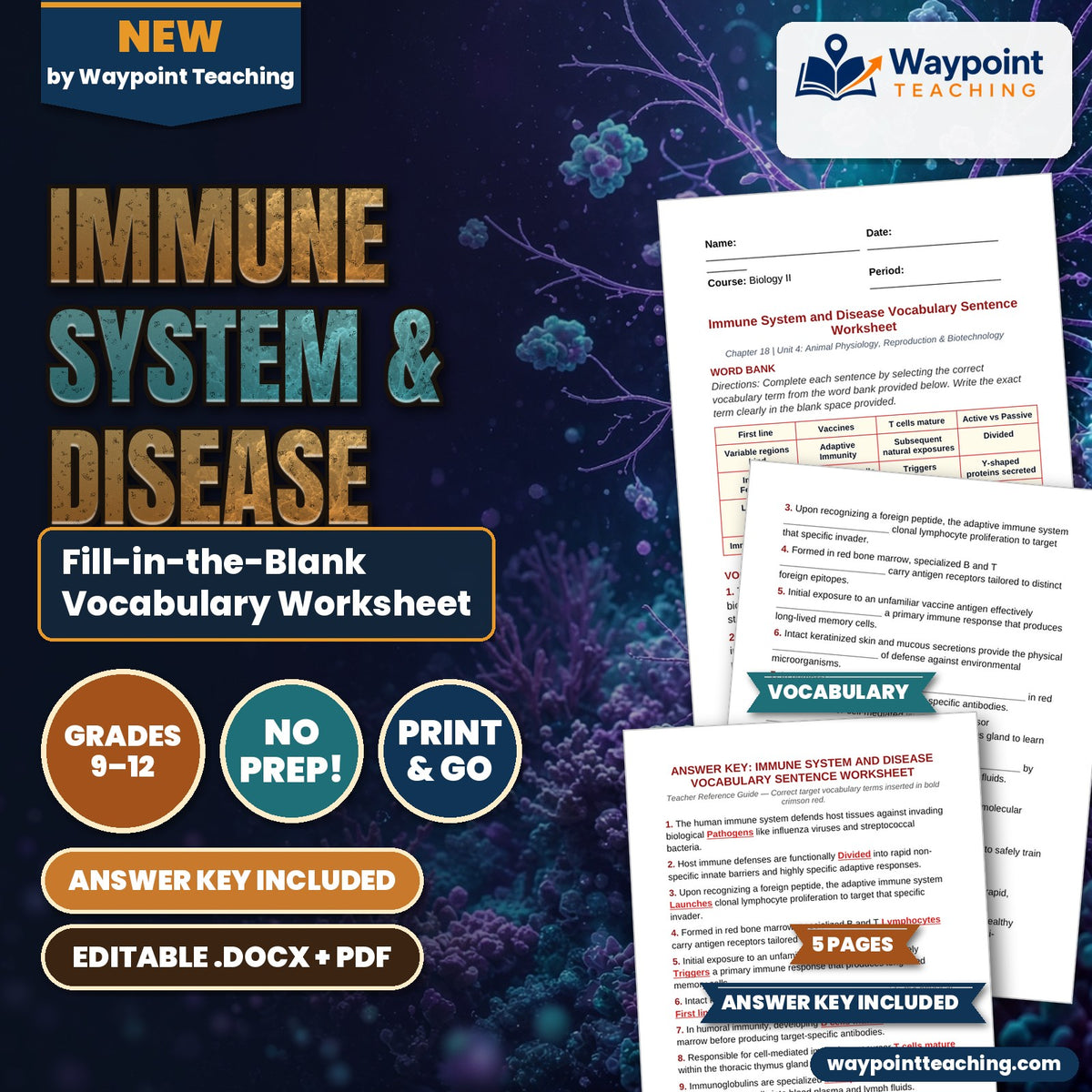Immune System & Disease Fill-in-the-Blank Vocabulary Worksheet cover