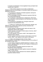 Immune System & Disease Lesson Quiz sample page