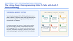 Immune System & Disease Phenomena-Based Lesson: The Living Drug: Reprogramming Killer T-Cells with CAR-T Immunotherapy Presentation sample page
