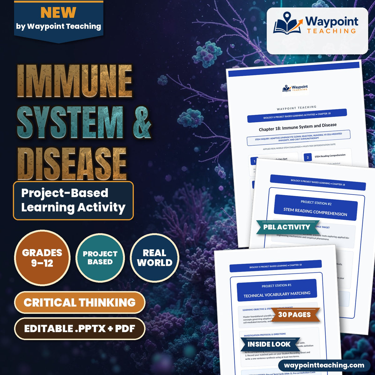 Immune System & Disease Project-Based Learning Activity cover