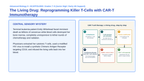 Immune System & Disease Scaffolded Phenomena-Based Lesson: The Living Drug: Reprogramming Killer T-Cells with CAR-T Immunotherapy Presentation sample page