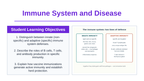 Immune System & Disease Slide Show Presentation sample page