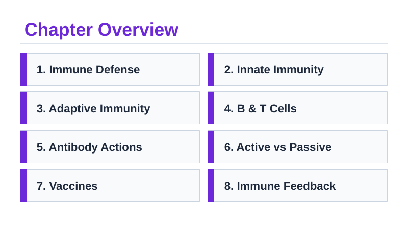Immune System & Disease Slide Show Presentation sample page