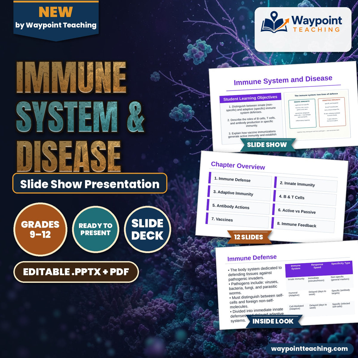 Immune System & Disease Slide Show Presentation cover
