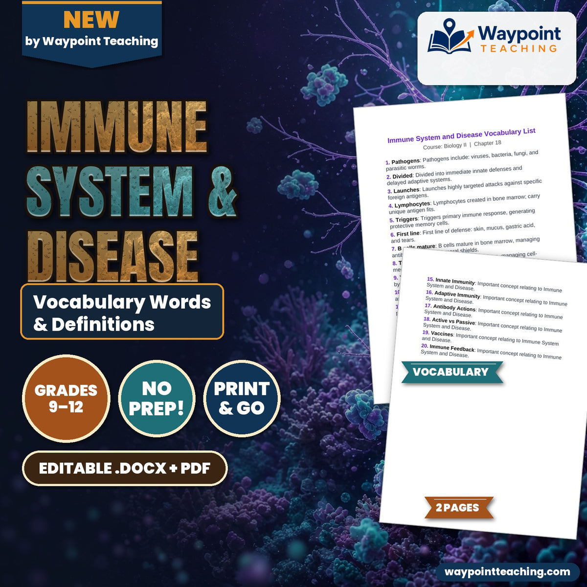 Immune System & Disease Vocabulary Words & Definitions cover