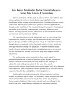 Inter-System Coordination During Extreme Endurance Reading Worksheet sample page