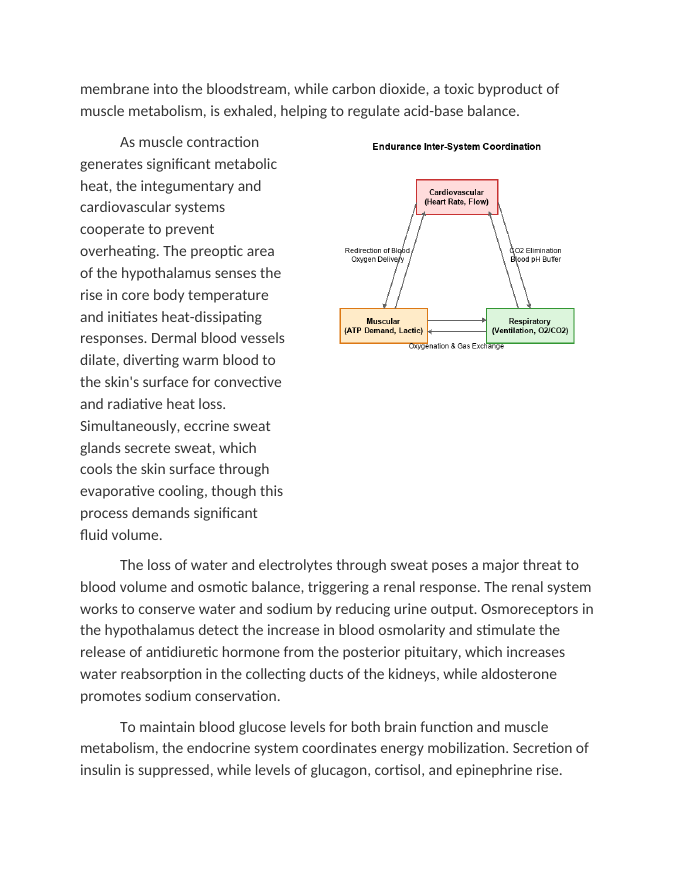 Inter-System Coordination During Extreme Endurance Reading Worksheet sample page