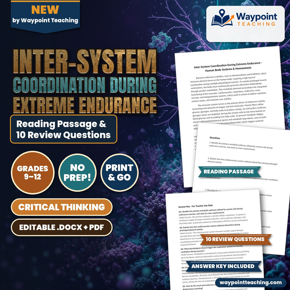 Inter-System Coordination During Extreme Endurance Reading Worksheet cover