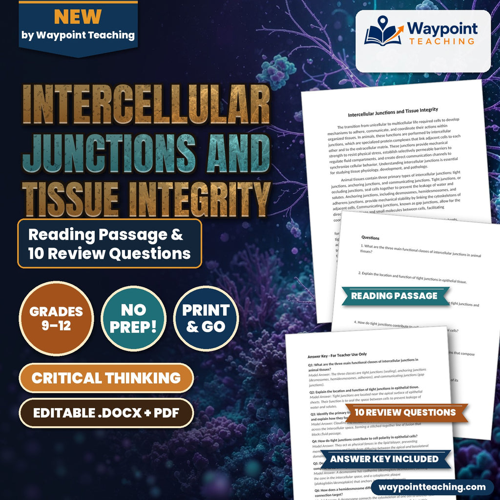 Intercellular Junctions and Tissue Integrity Reading Worksheet cover