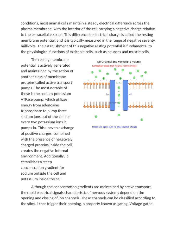 Investigating Ion Channels and Membrane Polarity Reading Worksheet sample page